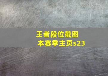 王者段位截图 本赛季主页s23